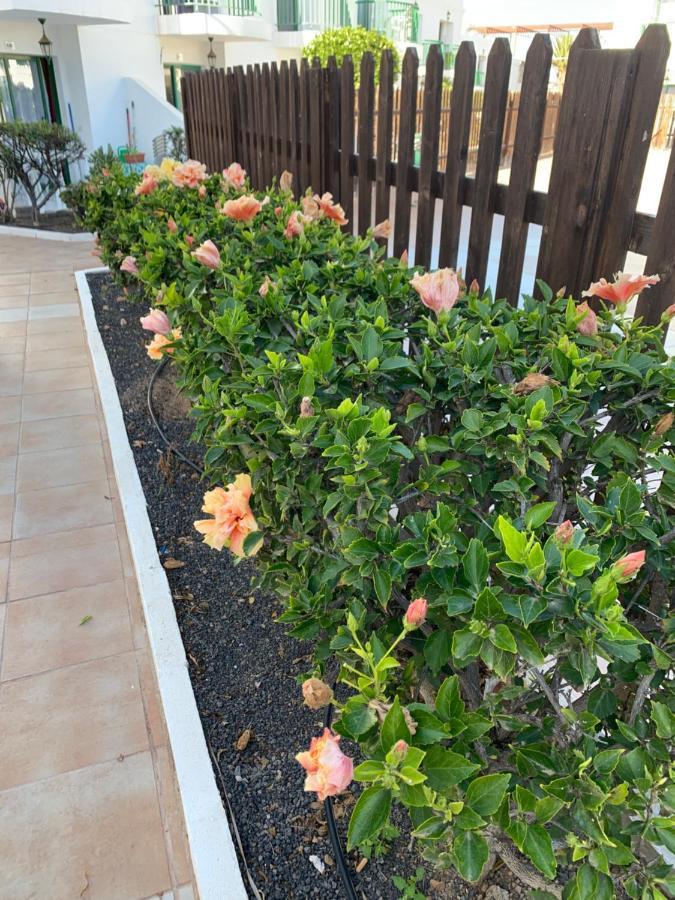 San Valentine Apartment Corralejo Bagian luar foto